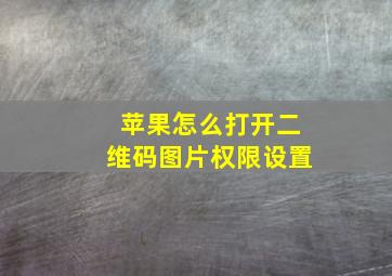 苹果怎么打开二维码图片权限设置