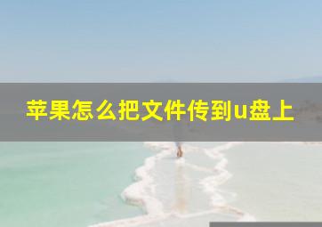 苹果怎么把文件传到u盘上