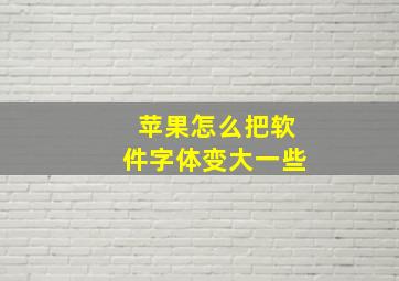 苹果怎么把软件字体变大一些