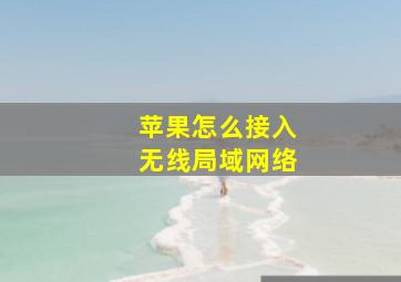 苹果怎么接入无线局域网络