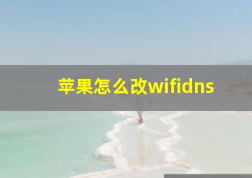 苹果怎么改wifidns