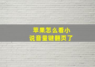 苹果怎么看小说音量键翻页了