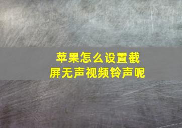 苹果怎么设置截屏无声视频铃声呢