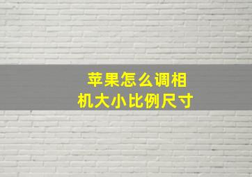 苹果怎么调相机大小比例尺寸