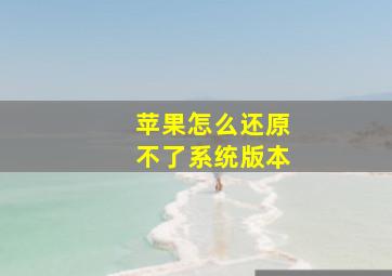 苹果怎么还原不了系统版本