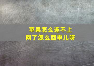 苹果怎么连不上网了怎么回事儿呀