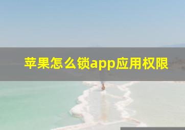 苹果怎么锁app应用权限