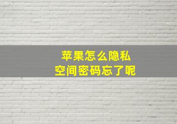 苹果怎么隐私空间密码忘了呢