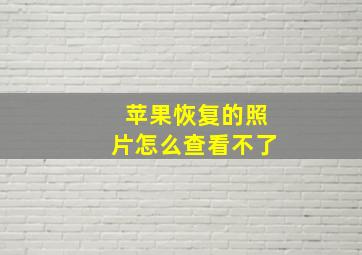 苹果恢复的照片怎么查看不了