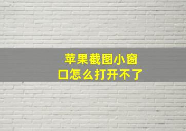 苹果截图小窗口怎么打开不了