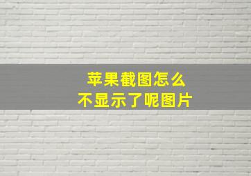 苹果截图怎么不显示了呢图片