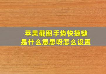 苹果截图手势快捷键是什么意思呀怎么设置