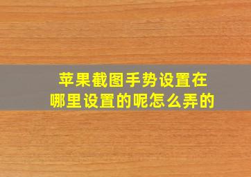 苹果截图手势设置在哪里设置的呢怎么弄的