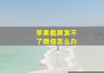 苹果截屏发不了微信怎么办