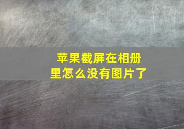 苹果截屏在相册里怎么没有图片了