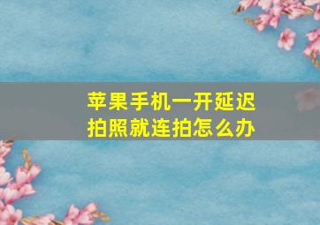 苹果手机一开延迟拍照就连拍怎么办