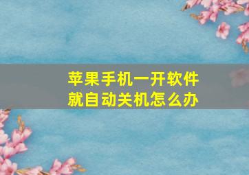 苹果手机一开软件就自动关机怎么办