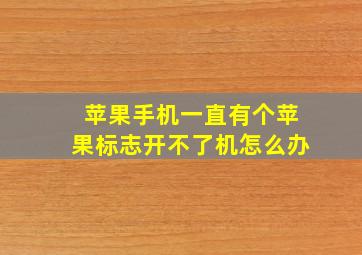 苹果手机一直有个苹果标志开不了机怎么办