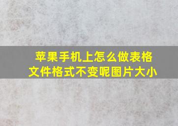 苹果手机上怎么做表格文件格式不变呢图片大小