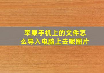 苹果手机上的文件怎么导入电脑上去呢图片