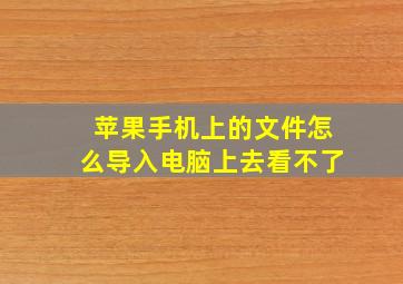 苹果手机上的文件怎么导入电脑上去看不了