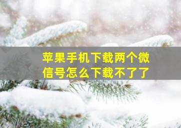 苹果手机下载两个微信号怎么下载不了了