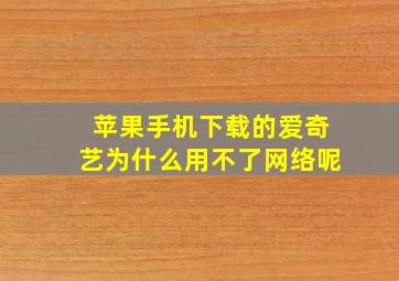 苹果手机下载的爱奇艺为什么用不了网络呢