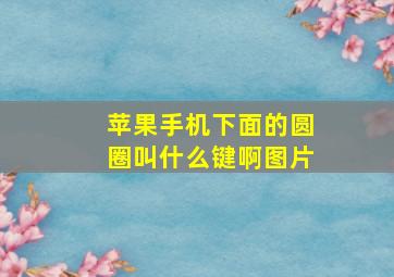 苹果手机下面的圆圈叫什么键啊图片