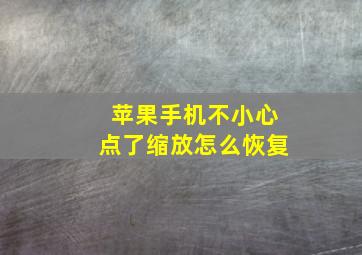 苹果手机不小心点了缩放怎么恢复