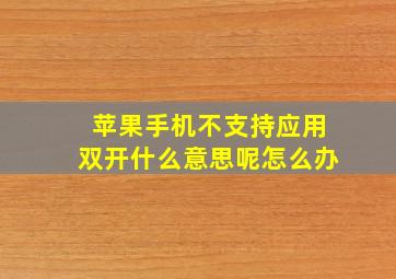 苹果手机不支持应用双开什么意思呢怎么办