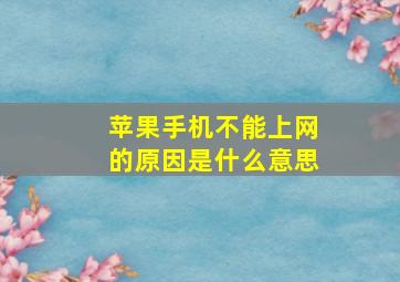 苹果手机不能上网的原因是什么意思