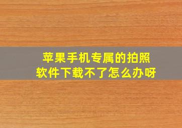 苹果手机专属的拍照软件下载不了怎么办呀