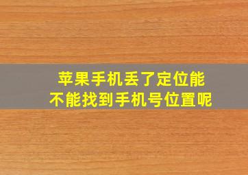 苹果手机丢了定位能不能找到手机号位置呢