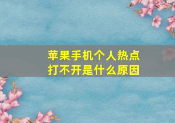 苹果手机个人热点打不开是什么原因