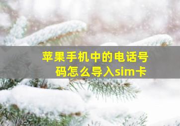 苹果手机中的电话号码怎么导入sim卡