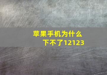 苹果手机为什么下不了12123