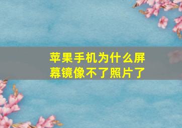 苹果手机为什么屏幕镜像不了照片了