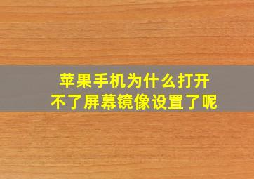 苹果手机为什么打开不了屏幕镜像设置了呢