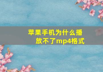 苹果手机为什么播放不了mp4格式