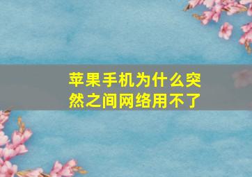 苹果手机为什么突然之间网络用不了