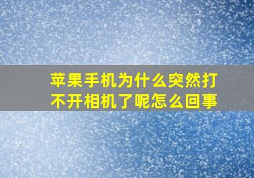 苹果手机为什么突然打不开相机了呢怎么回事