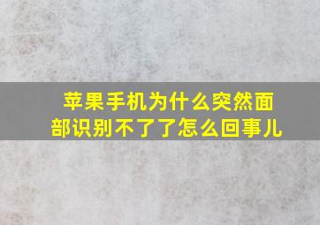 苹果手机为什么突然面部识别不了了怎么回事儿