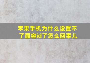 苹果手机为什么设置不了面容id了怎么回事儿