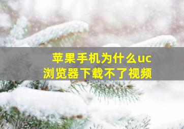 苹果手机为什么uc浏览器下载不了视频