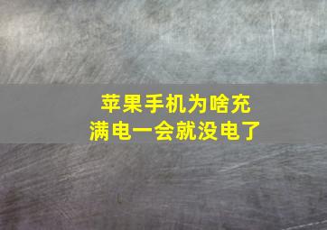 苹果手机为啥充满电一会就没电了