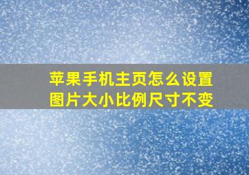 苹果手机主页怎么设置图片大小比例尺寸不变