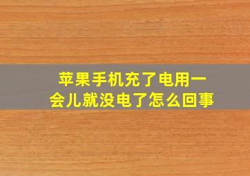 苹果手机充了电用一会儿就没电了怎么回事