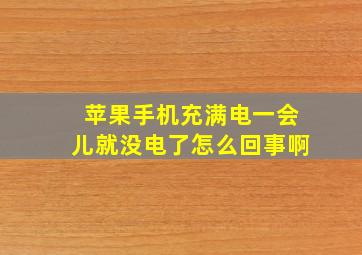 苹果手机充满电一会儿就没电了怎么回事啊