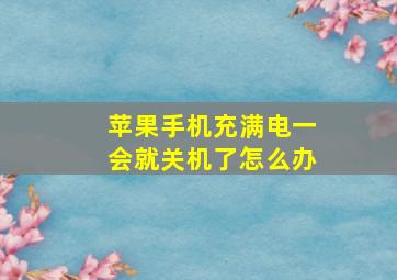 苹果手机充满电一会就关机了怎么办