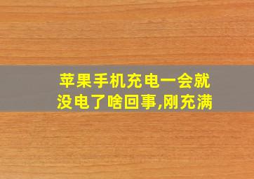 苹果手机充电一会就没电了啥回事,刚充满